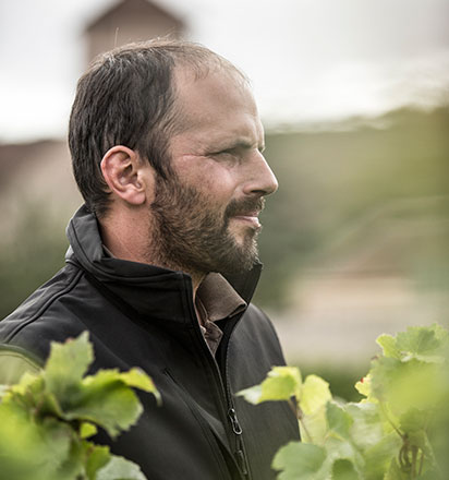 Vignerons - Damien Livera - Domaine Philippe Livera