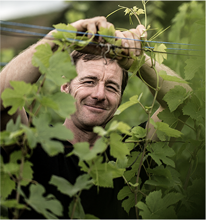 Vignerons - Laurent Barth - Alsace