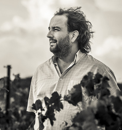 Viamo - Baptiste Lalfert - Clos Lalfert Languedoc