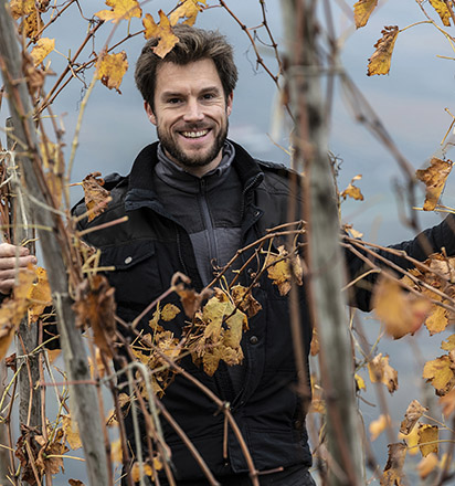 Domaine des Pierres Sèches - Sylvain Gauthier - Saint Joseph - Viamo