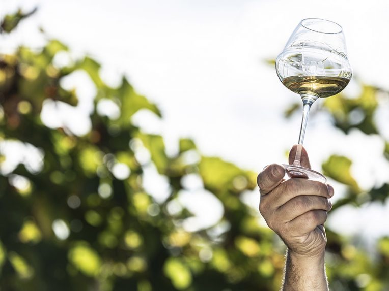 Clos Thou Henri Lapouble